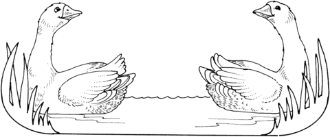 Twin Geese Coloring Page